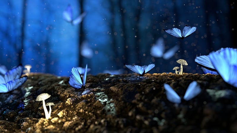 Enchanted Plants