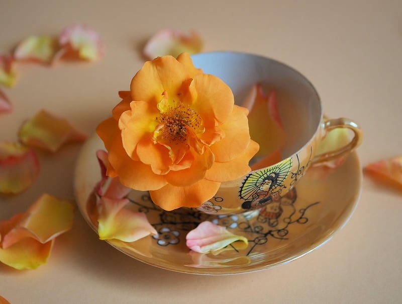 Summer Blossoms